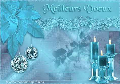 Meilleurs voeux 2008